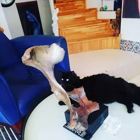 Hotel No 1 House By Valence